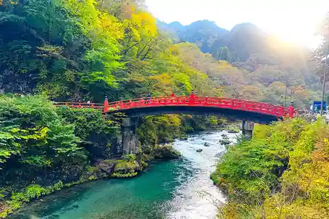 From Tokyo: Nikko world heritage sight private full Day Tour