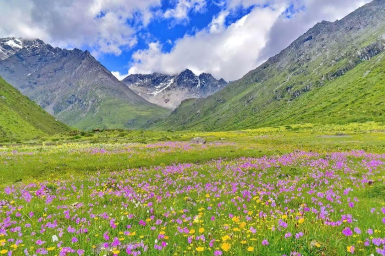 Sichuan: Siguniang Mountain Entry Ticket Changping Valley Admission + Sightseeing Bus Ticket