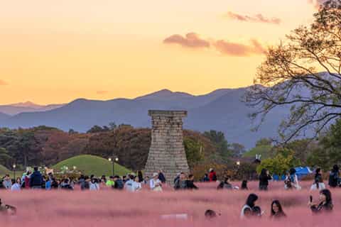 From Busan: Gyeongju Highlights Day Trip with Hotel Pickup - Image 3