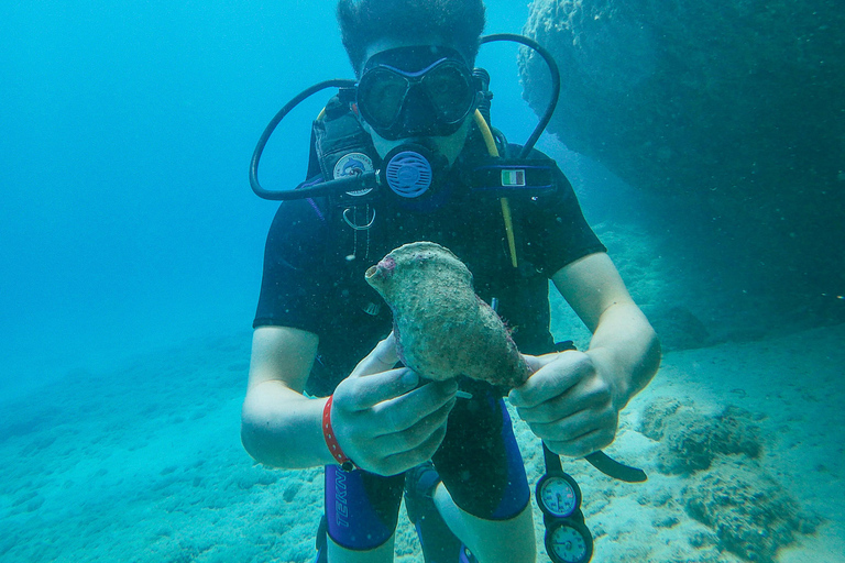 Rhodes: SSI Discover Scuba Diving with Photos & Pickup