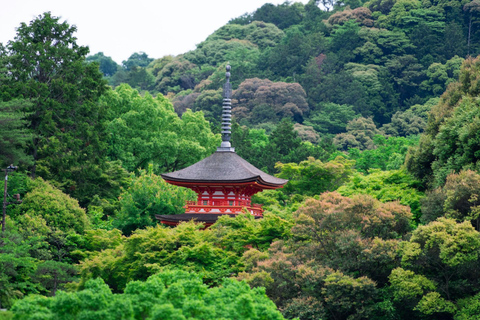 Kyoto: Private Luxury Tour With Vehicle (Customizable)