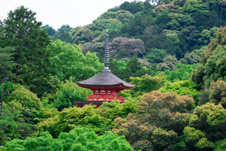 Kyoto: Private Luxury Tour With Vehicle (Customizable)