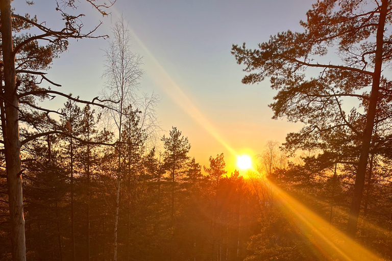 Oslo: Forest Hike with Panoramic Fjord Views and a dog