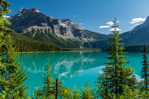 Banff: Lake Louise, Moraine Lake & Emerald Lake Day Tour