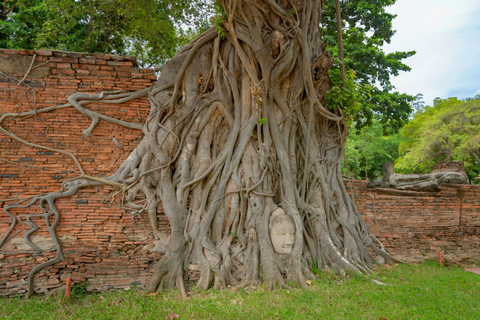 Bangkok: Ayutthaya Temples and Palace Day Trip with Lunch