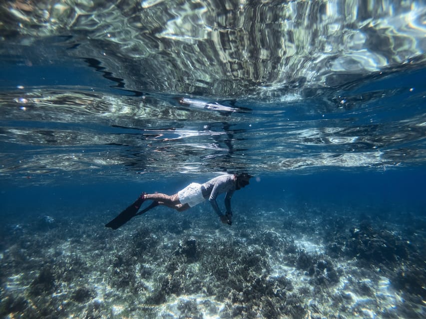 Snorkeling at Dibba Rock By Boat | GetYourGuide