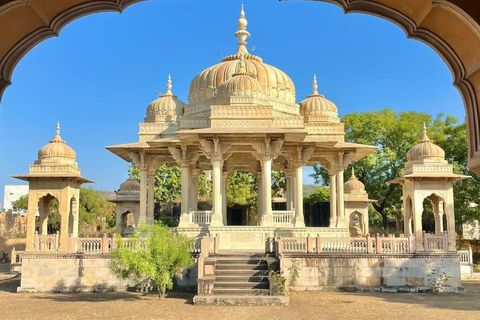 Delhi: 6-Day Golden Triangle Delhi, Agra, and Jaipur Tour Tour Without Hotel Accommodation