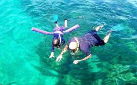 Islamorada: Snorkel Adventure & Sandbar Trip