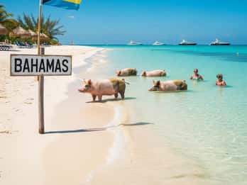 Miami/Fort Lauderdale: Bahamas Day Trip by Express Ferry
