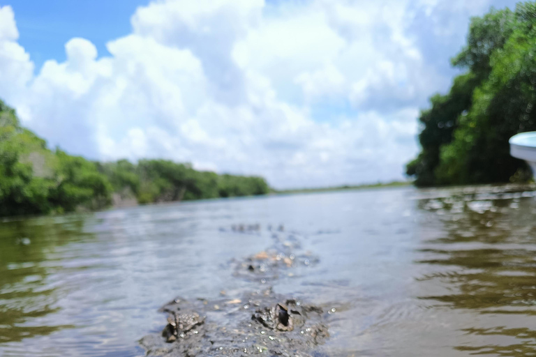 Yucatán: Bootstour durch das Biosphärenreservat Río Lagartos
