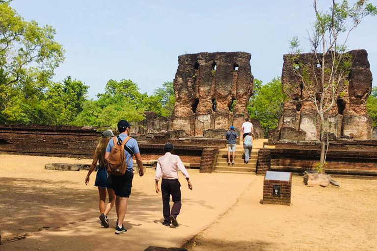 Excursión de un día a Minneriya Wild Safari y Polonnaruwa Sightseeing