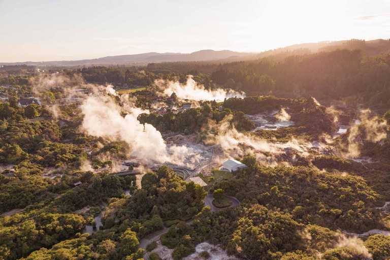 Rotorua: Tour durch das geothermische Tal Te Puia mit kultureller ShowRotorua: Tour durch das geothermische Tal Te Puia mit Kulturshow