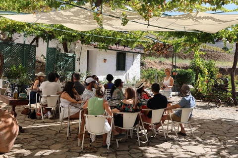 From Porto: 2 Boutique Wineries w/ Winery Lunch & 1-h cruise Tour in English
