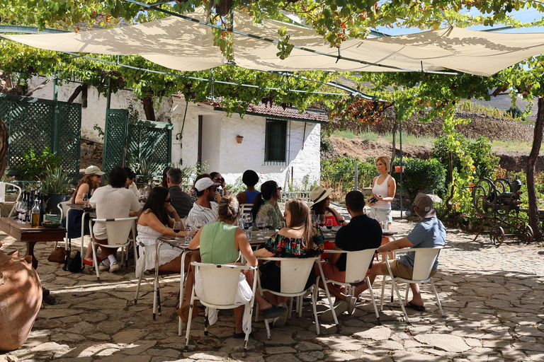 From Porto: 2 Boutique Wineries w/ Winery Lunch & 1-h cruise Tour in English