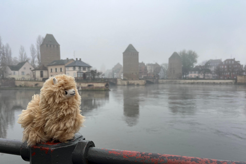 Straatsburg: Colmar, dorpen &amp; kasteel privé dagtrip