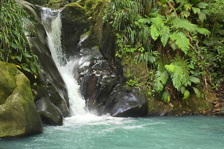 4x4 Land Rover day trip with Fanm Sosyal Kréyol in Guadeloupe Half-Day