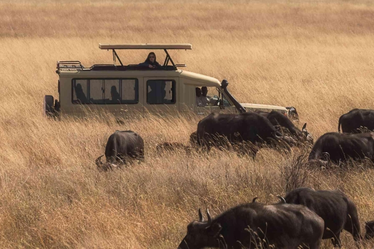 6 Días Masai Mara, Parque Nacional del Serengeti y Ngorongoro