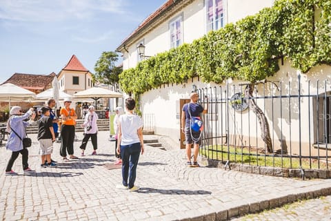 Maribor and Ptuj: Private Trip with Wine