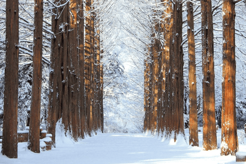 Seúl: SnowyLand en el Parque Vivaldi con Nami o AlpacaExcursión en grupo con Mundo Alpaca desde la Estación DDP