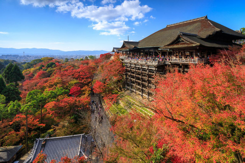 Osaka: escursione ad Arashiyama, Kiyomizu-dera e Katsuō-ji