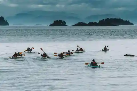 Telegraph Cove: passeio de caiaque divertido em família de 2 horas