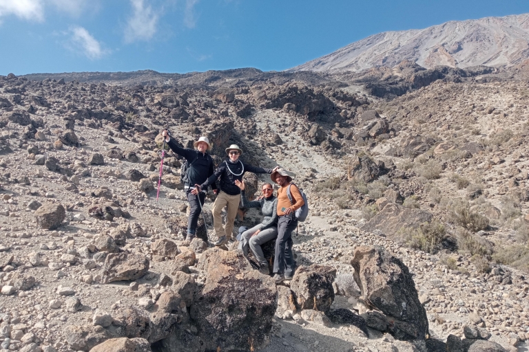 Monte Kilimanjaro: Expedición de 8 días por el Circuito Norte