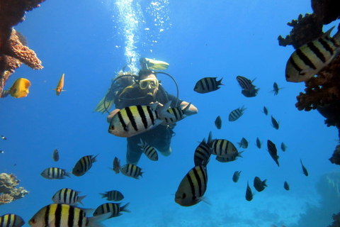 Hurghada: Intro Diving & Snorkeling Tour with Lunch & Drinks Hurghada: Introduction dive & Snorkeling Cruise with Lunch