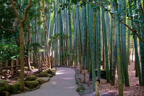Tokyo: Kamakura & Enoshima Private Guided Day Trip