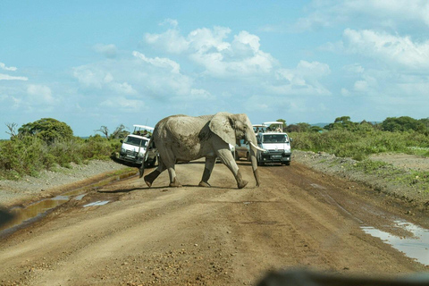 Nairobi: Amboseli National Park Guided Day Trip