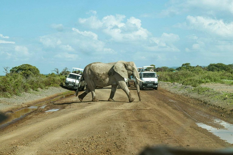Nairobi: Amboseli National Park Guided Day Trip