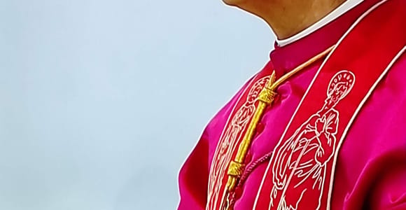Escorted Papal Audience Experience with Entry Ticket