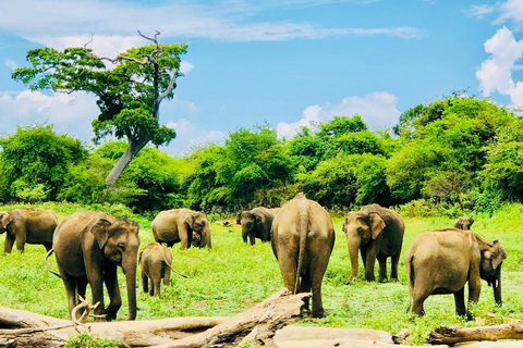 Private Udawalawe Safari & Lakeside Nature Break