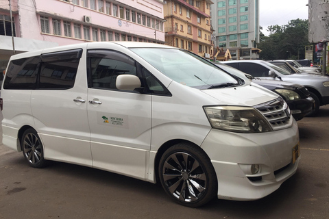 Private Day Trip to Serval wildlife and Chemka Hotsprings