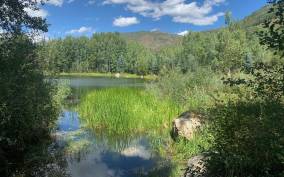 Aspen: Guided Light Hike with Roaring Fork River Views