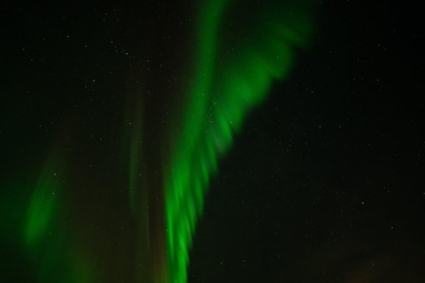 Tromsø: Northern Lights Tour with Local guide & Local Food