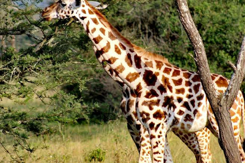 Kampala: Lake Mburo National Park & Horse Riding Tour