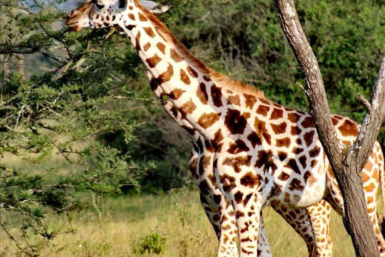 Kampala: Lake Mburo National Park & Horse Riding Tour