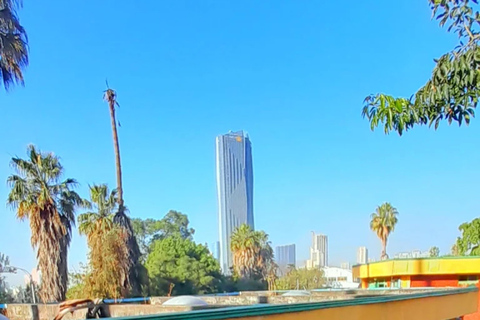 Addis Ababa: Origins Tour with Springs & Entoto Hills