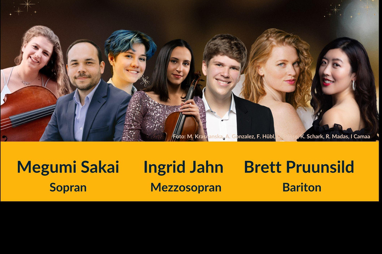 Vienna: Christmas Concert – Classical/Musical/Pop, Near Schönbrunn Category B seat