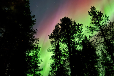Rovaniemi: Coffee under Northern Lights & Professional Photo