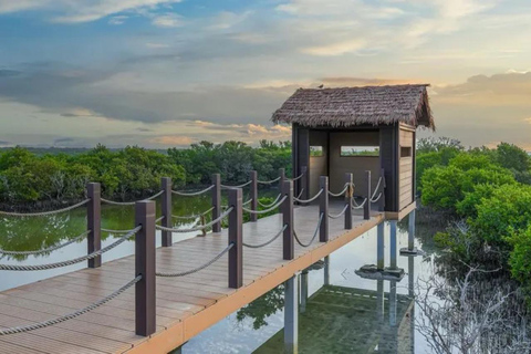 From Doha: Full-Day Tour to Qatar North and West From Doha: Full-Day Tour to Qatar North and West