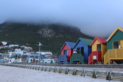 Cape Town: Table Mountain, Penguins & Cape Point Group Tour