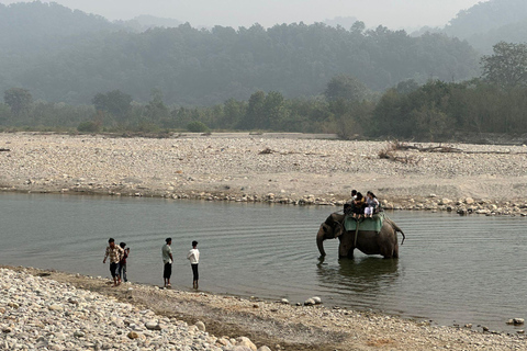 Bangalore to Jim Corbett: 2-Day Safari Adventure via Delhi All-Inclusive tour