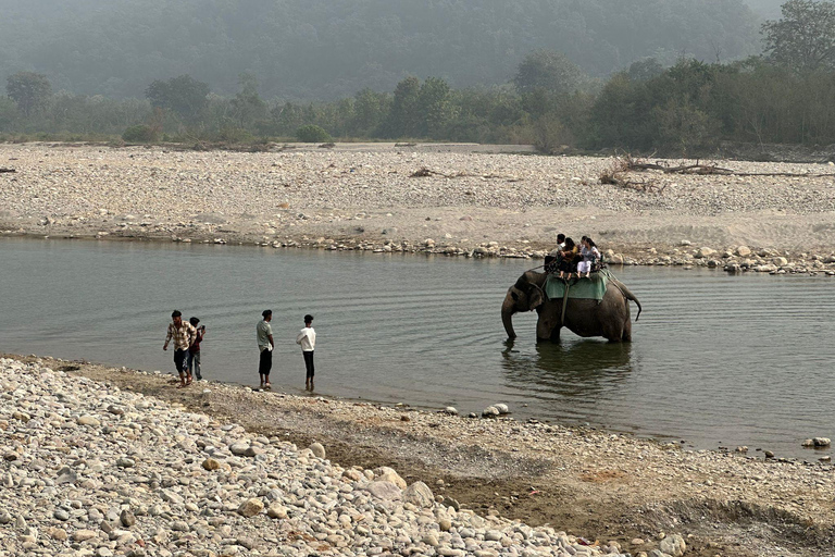 Bangalore to Jim Corbett: 2-Day Safari Adventure via Delhi All-Inclusive tour
