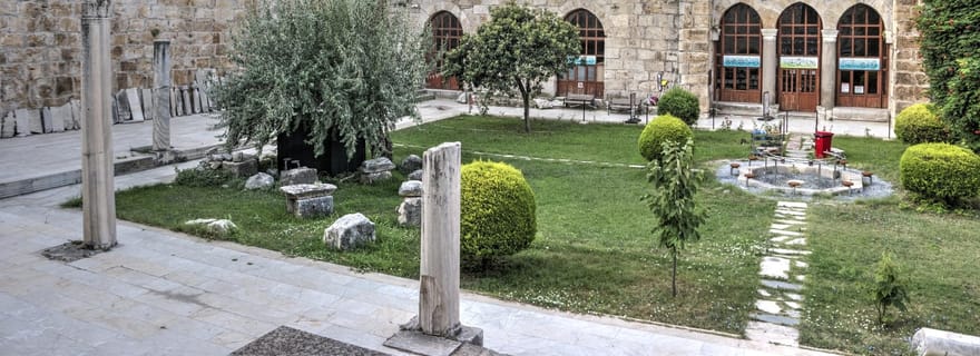 Visite d'Ephèse et des merveilles antiques (PAS de marche, pas de frais cachés)