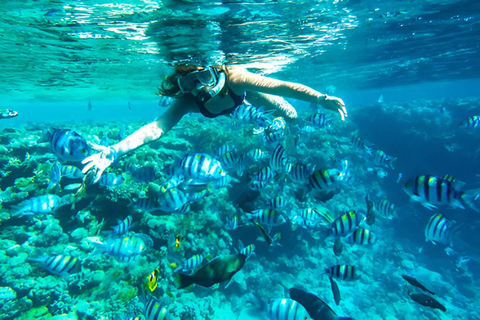 Snorkeling and mangroves with lunch at Baru white beach Cartagena