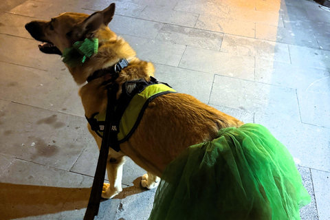 San José del Cabo: Thursday Night Art Walk Tour Private Art Walk with Artist, Musician, Author & Harper Lee!