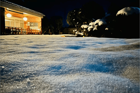 From Osaka or Kyoto: Hakodateyama & Okuibuki Ski 2-Day Trip