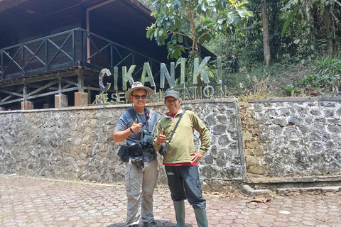 From Jakarta: 2-Day Bogor: Java Gibbon and Sunrise Tour