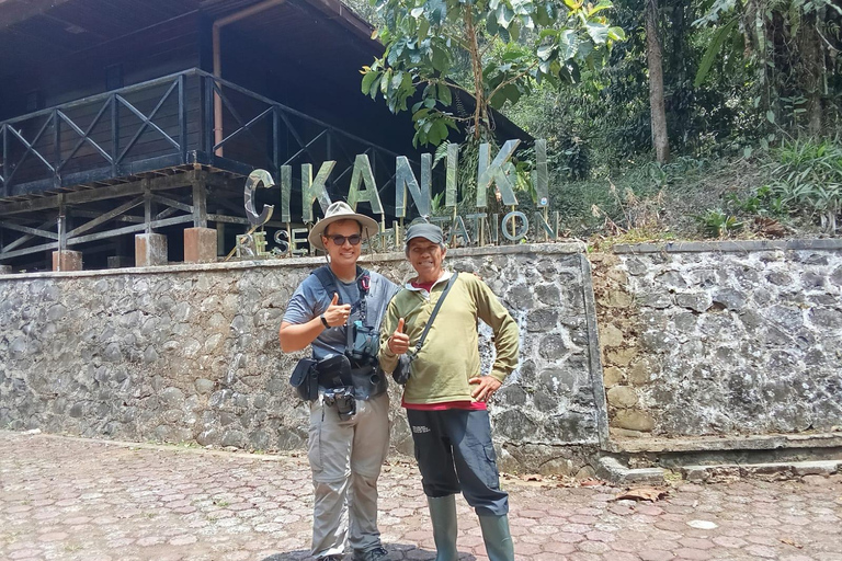 From Jakarta: 2-Day Bogor: Java Gibbon and Sunrise Tour